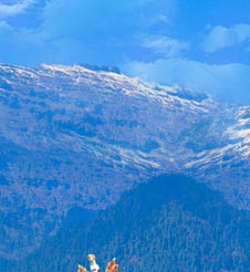 Bhutan Hills