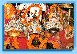 Vaishno Devi Yatra